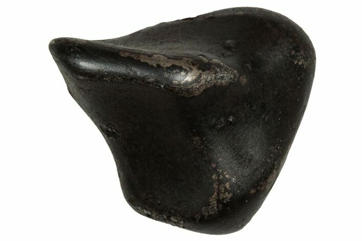 Fusion Crusted Sikhote-Alin Iron Meteorite ( g) - Russia #334578
